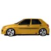 Ford-Fiesta-T-REX-Emb-EBU004
