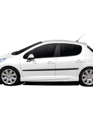 Peugeot-206-Drift-Emb-EBS063