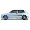 VW-Golf-III-Magneto-Frt-EBU0254
