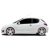 Peugeot-206-Drift-Emb
