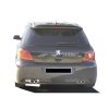 Peugeot-307-Futuriste-Tras-PCS153