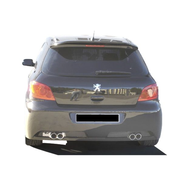 Peugeot-307-Futuriste-Tras-PCS153