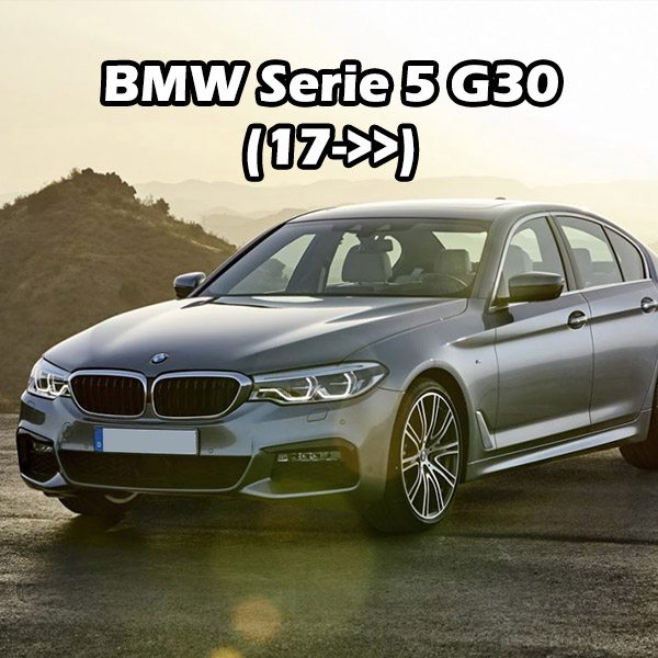 BMW Serie 5 G30 (17->>)
