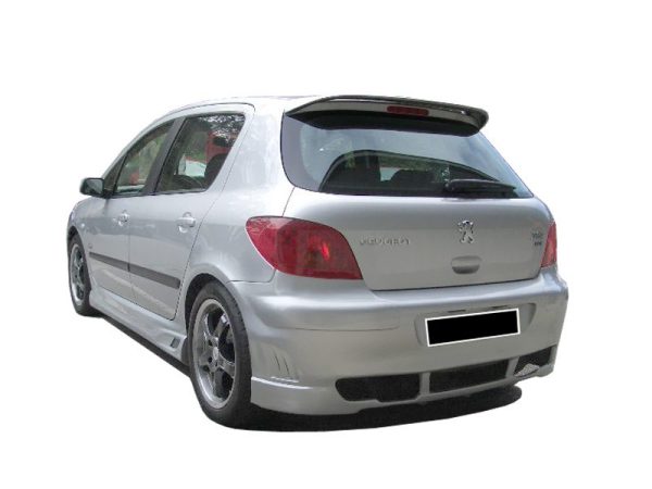 Peugeot-307-Vega-Tras-PCU0606