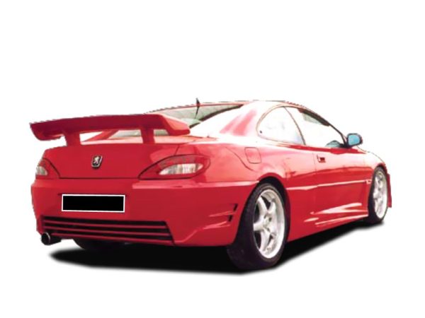 Peugeot-406-Domus-Tras-PCU0605.6