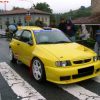 Seat-Ibiza-6K-96-99-Abas-Guarda-Lamas-WRC-Frente